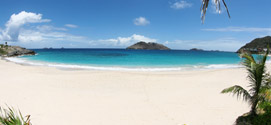 rencontre alizé guadeloupe